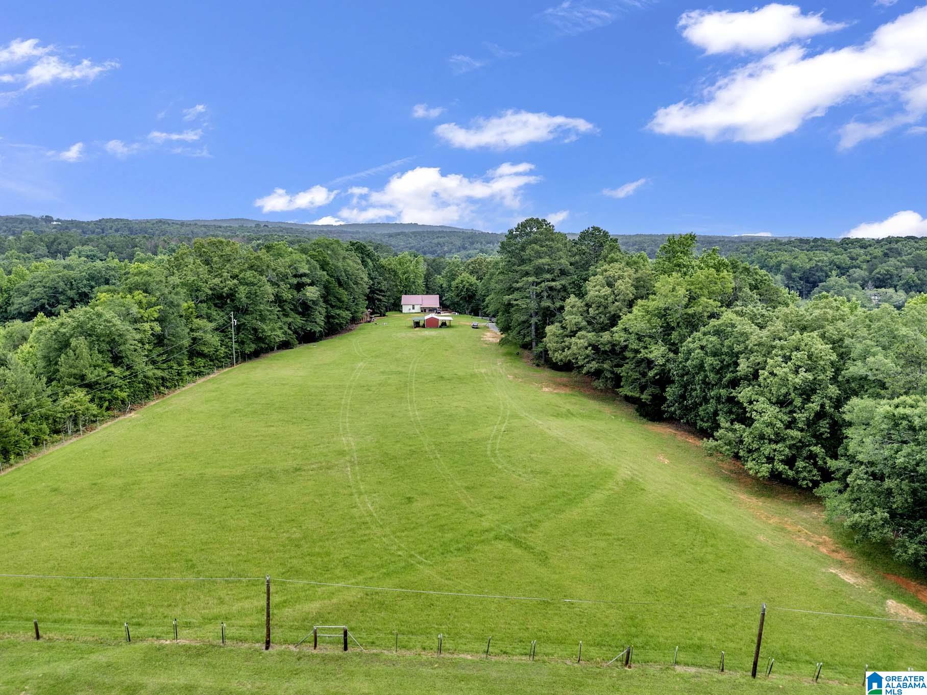 15920 Highway 160 Cleveland, AL 35049 - Photo 56 of 57