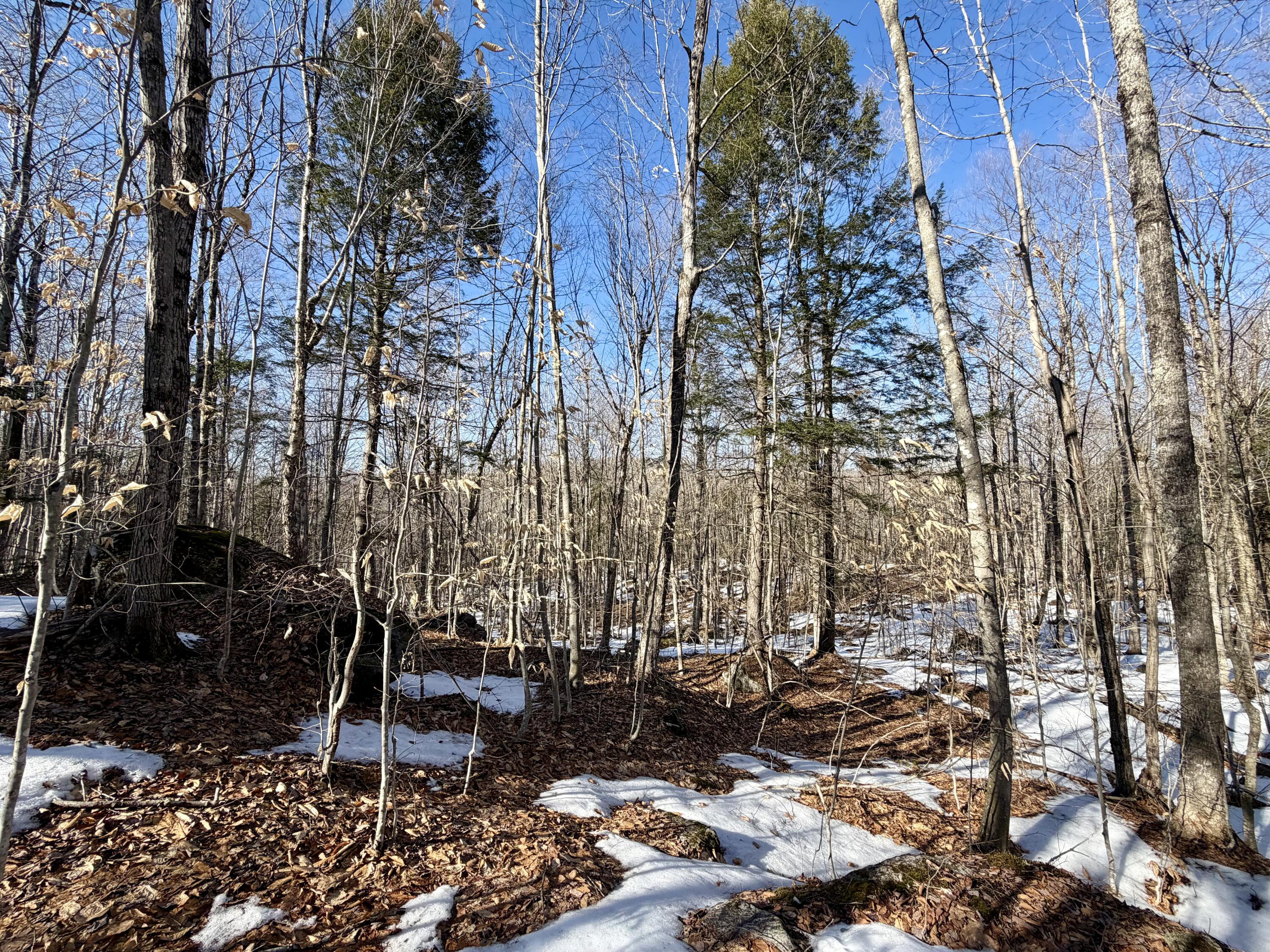 10 Main Street Sumner, ME 04292 - Photo 16 of 18