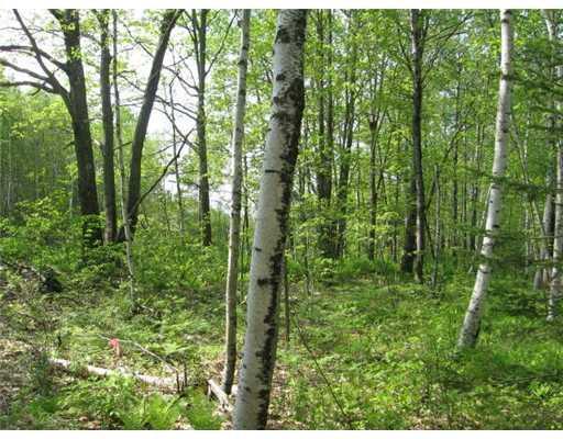 0 Oak Hill Road Norridgewock, ME 04957 - Photo 4 of 10 Land.