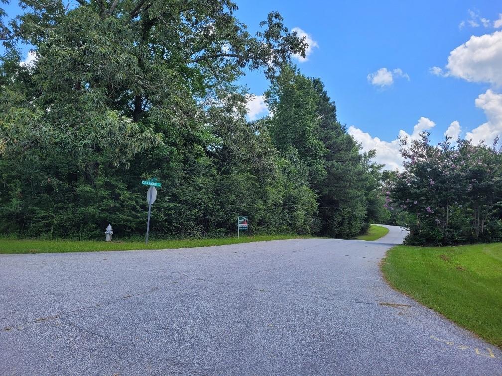 Lot 28 Buckeye Road Fayetteville, GA 30214 - Photo 1 of 1 Gallery Image 1