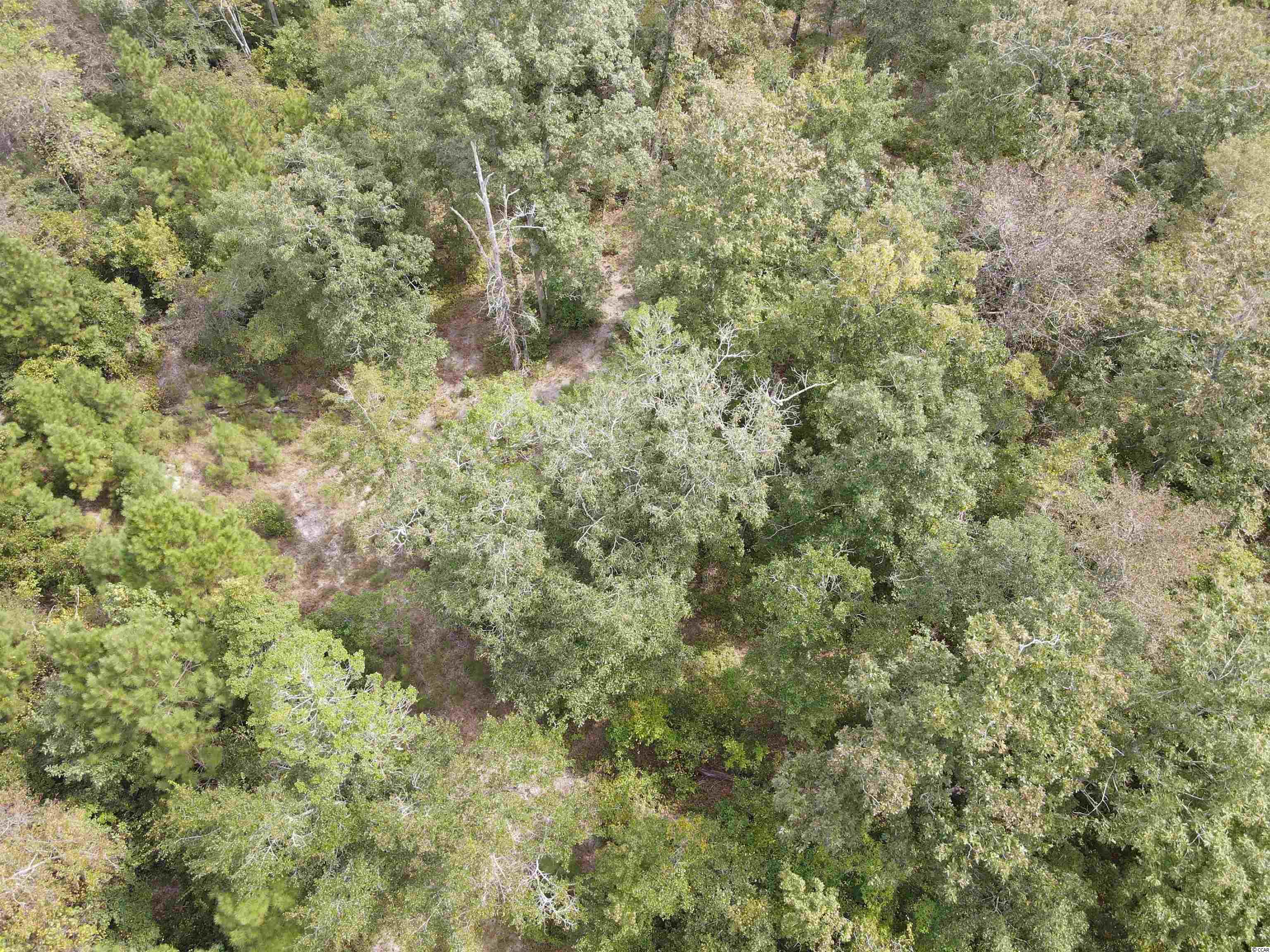 Lot 6 Rainbow Drive Loris, SC 29569 - Photo 12 of 21