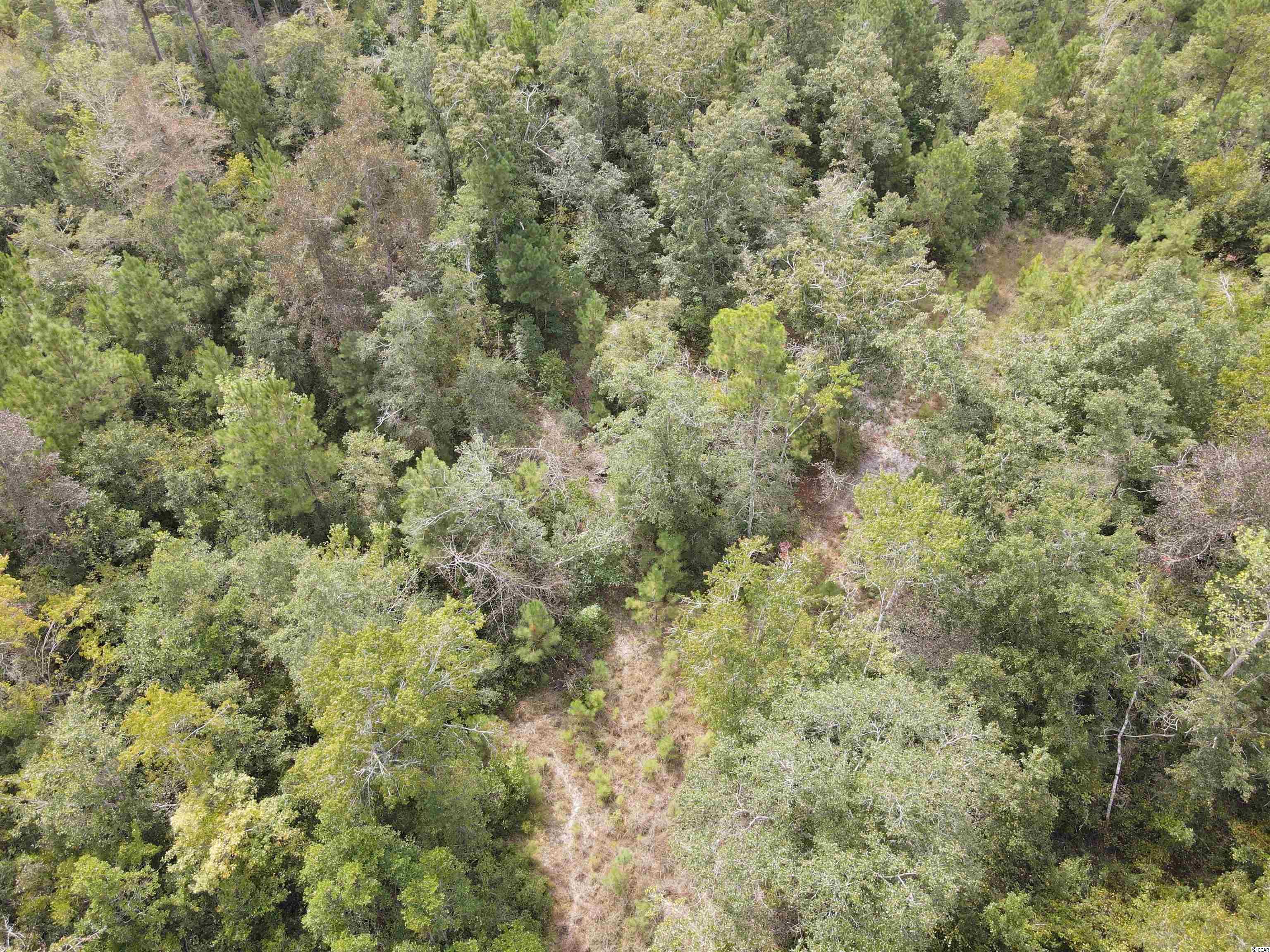 Lot 6 Rainbow Drive Loris, SC 29569 - Photo 15 of 21