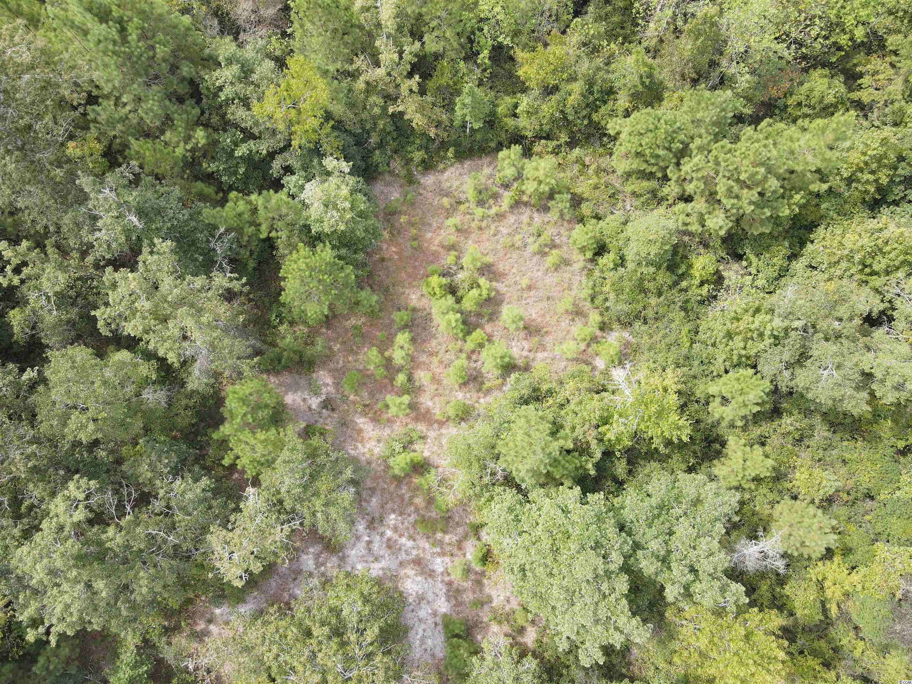 Lot 6 Rainbow Drive Loris, SC 29569 - Photo 17 of 21
