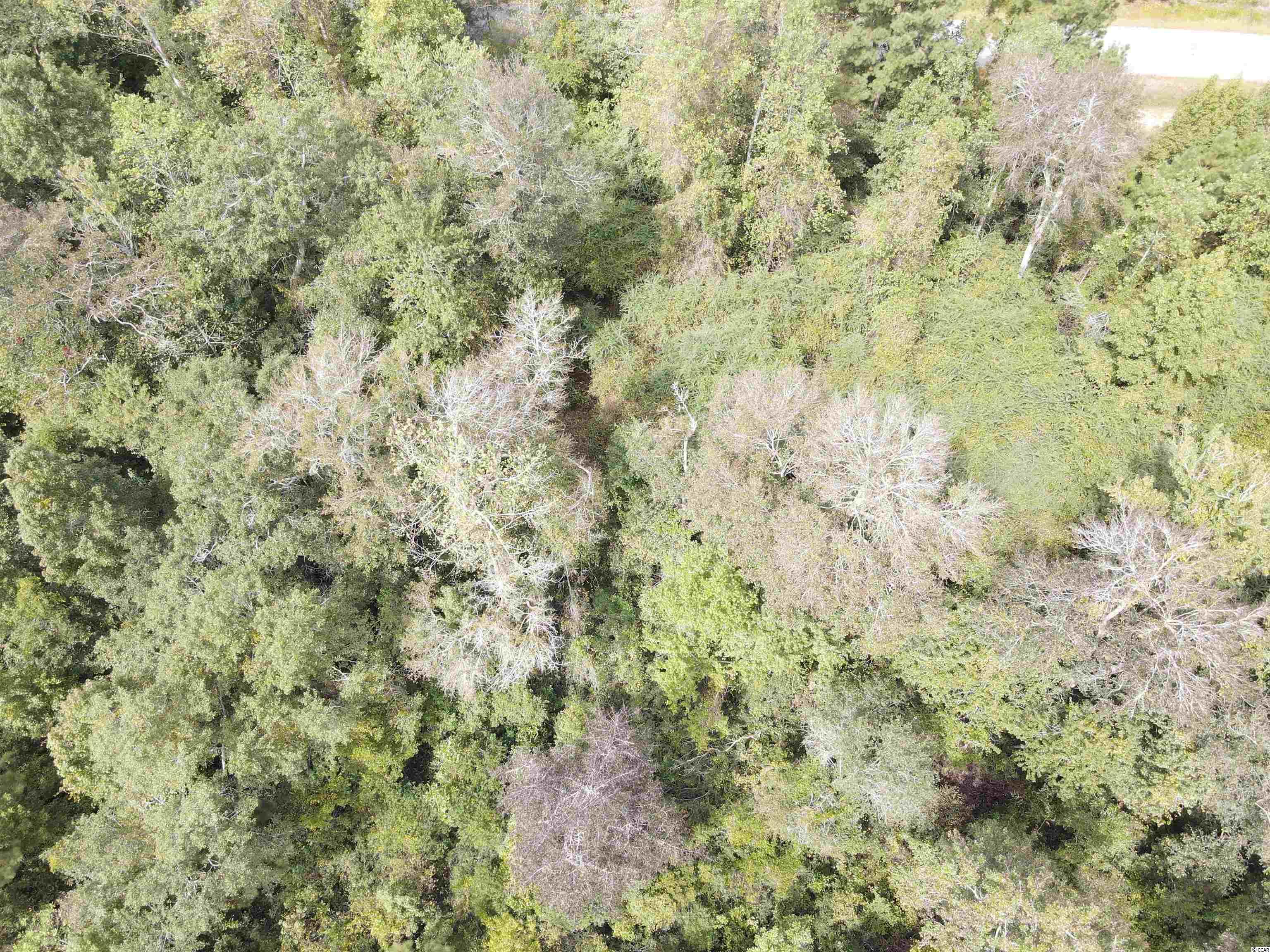 Lot 6 Rainbow Drive Loris, SC 29569 - Photo 18 of 21