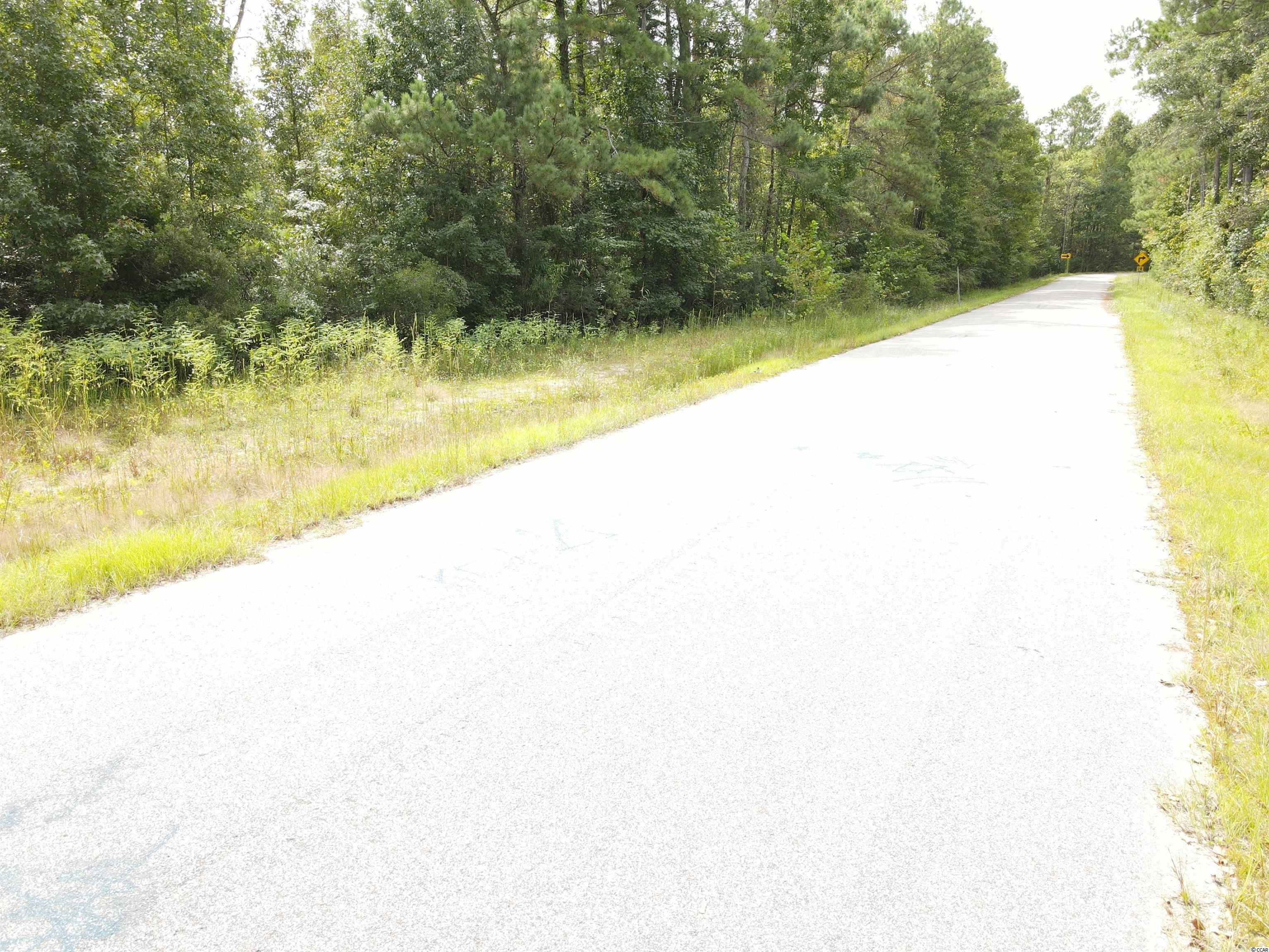 Lot 6 Rainbow Drive Loris, SC 29569 - Photo 19 of 21