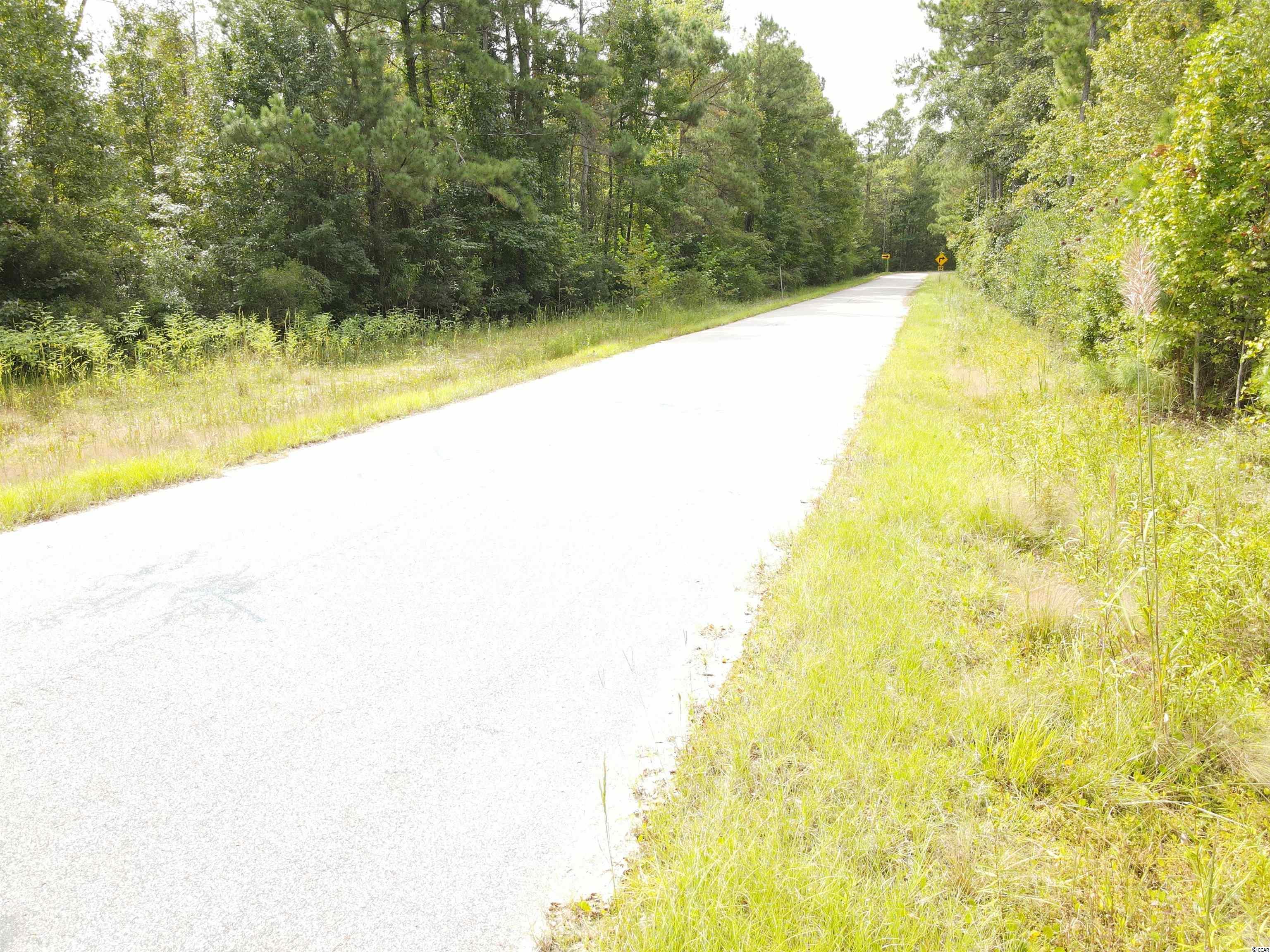 Lot 6 Rainbow Drive Loris, SC 29569 - Photo 20 of 21