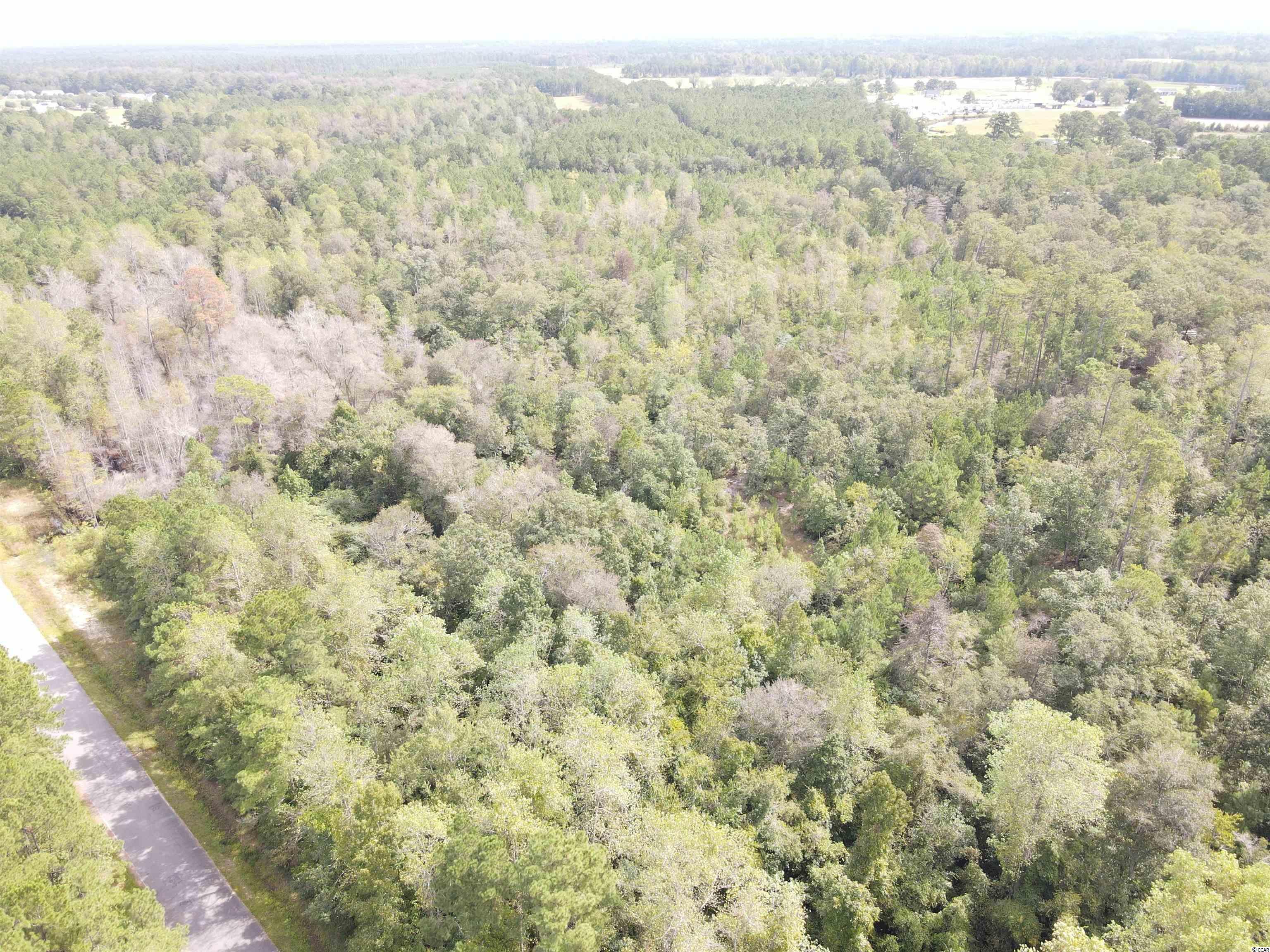 Lot 6 Rainbow Drive Loris, SC 29569 - Photo 2 of 21