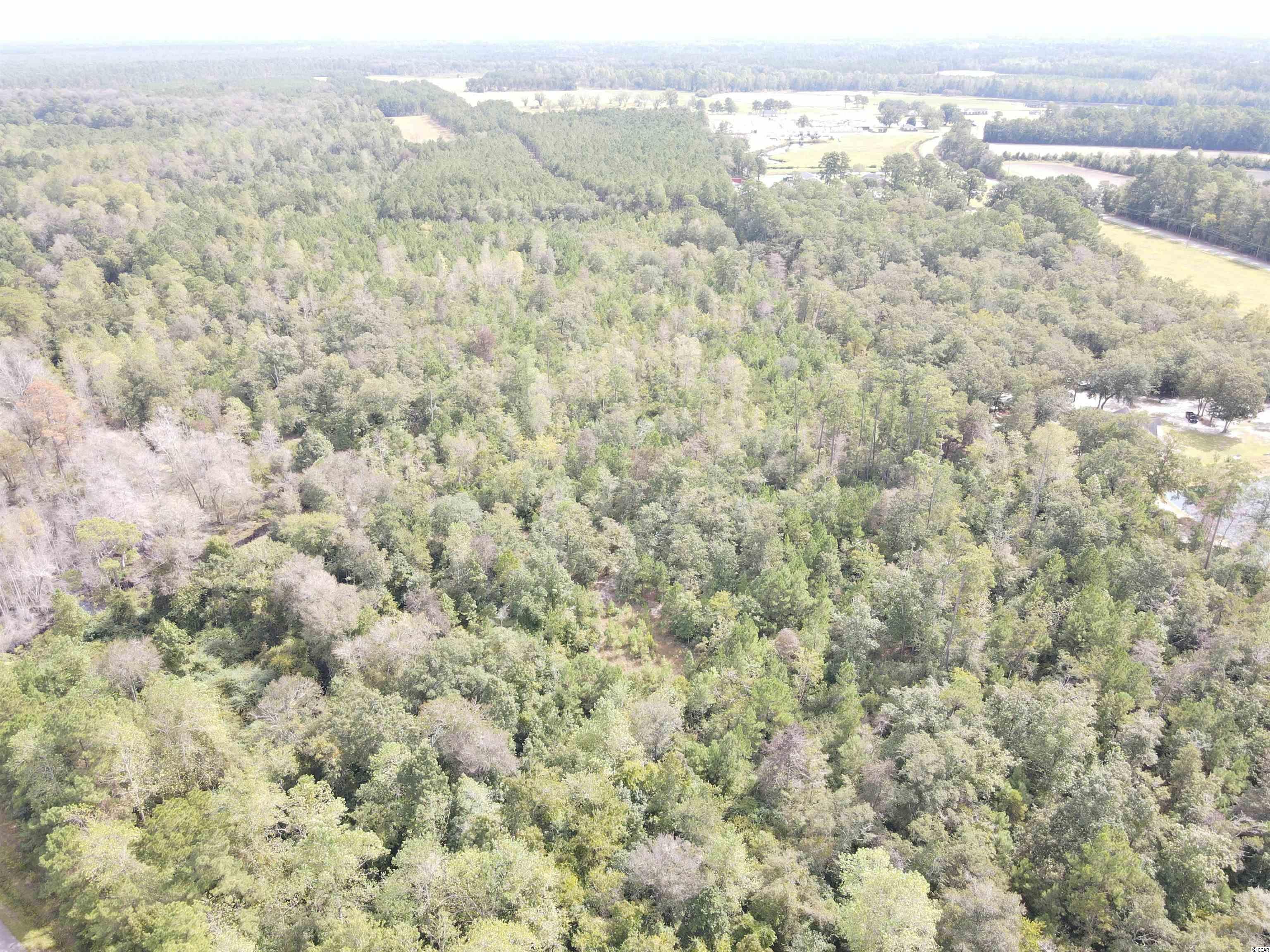 Lot 6 Rainbow Drive Loris, SC 29569 - Photo 3 of 21