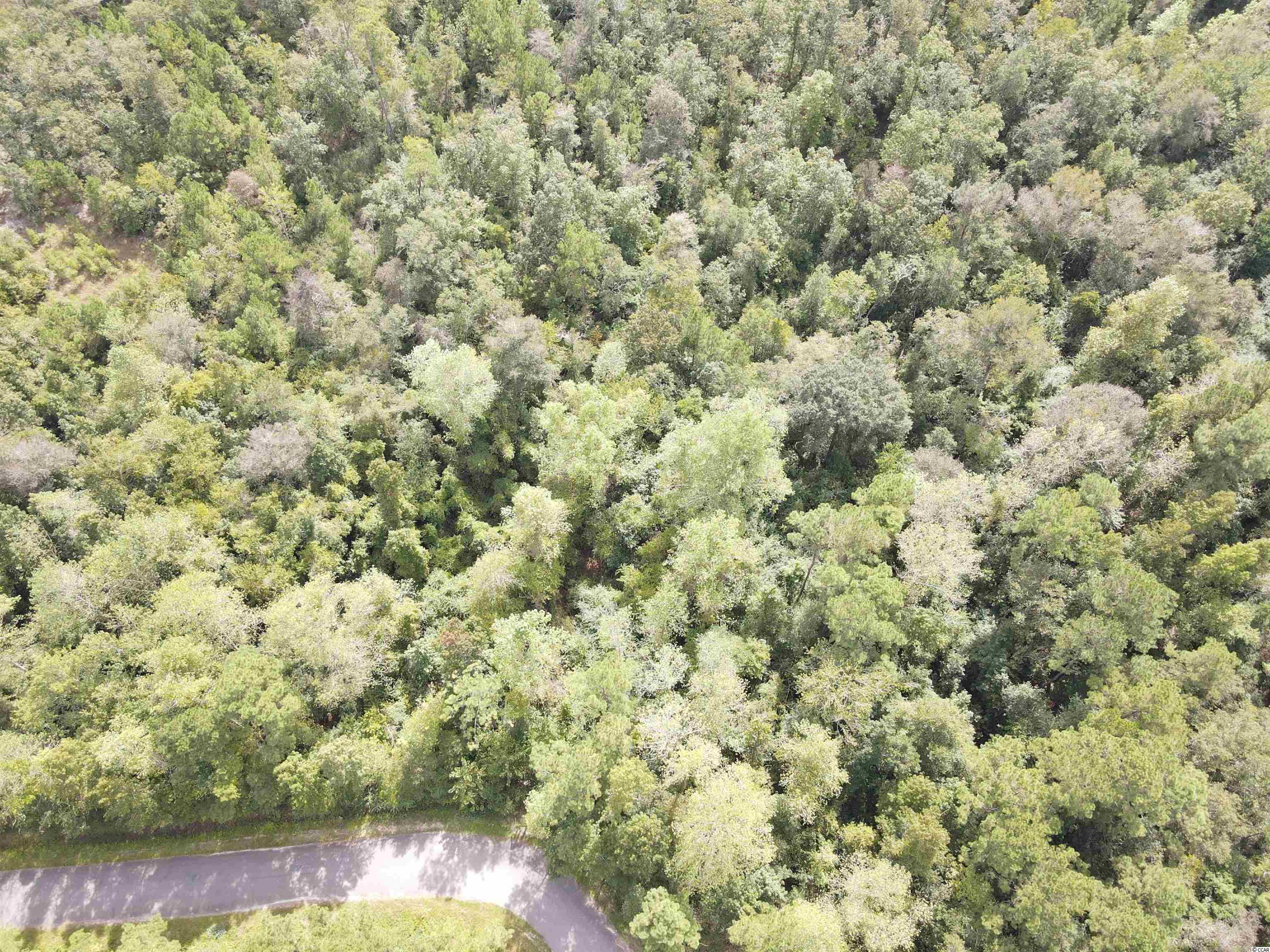 Lot 6 Rainbow Drive Loris, SC 29569 - Photo 4 of 21