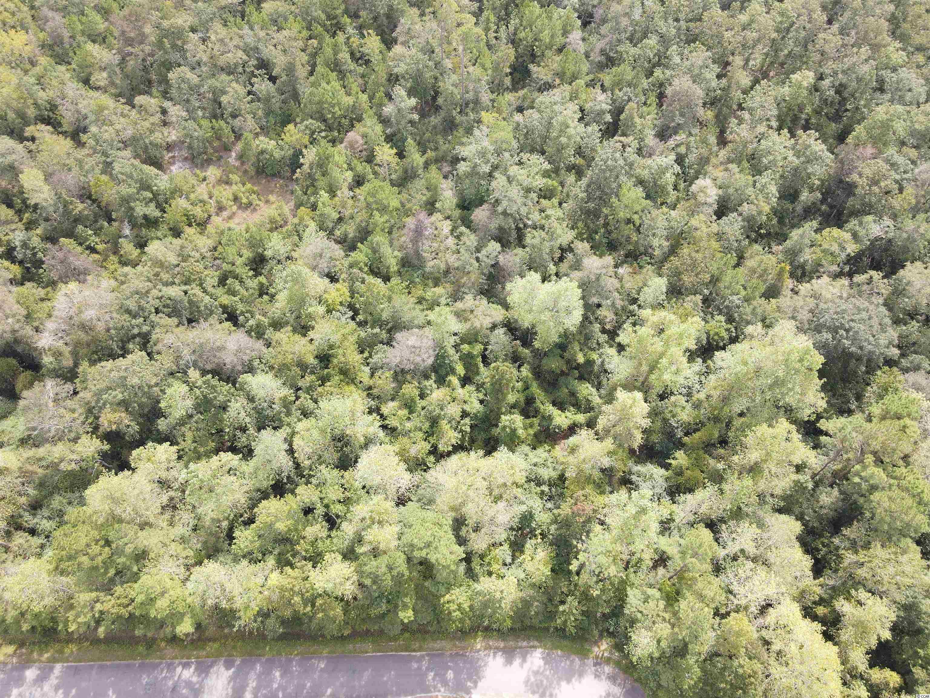 Lot 6 Rainbow Drive Loris, SC 29569 - Photo 5 of 21