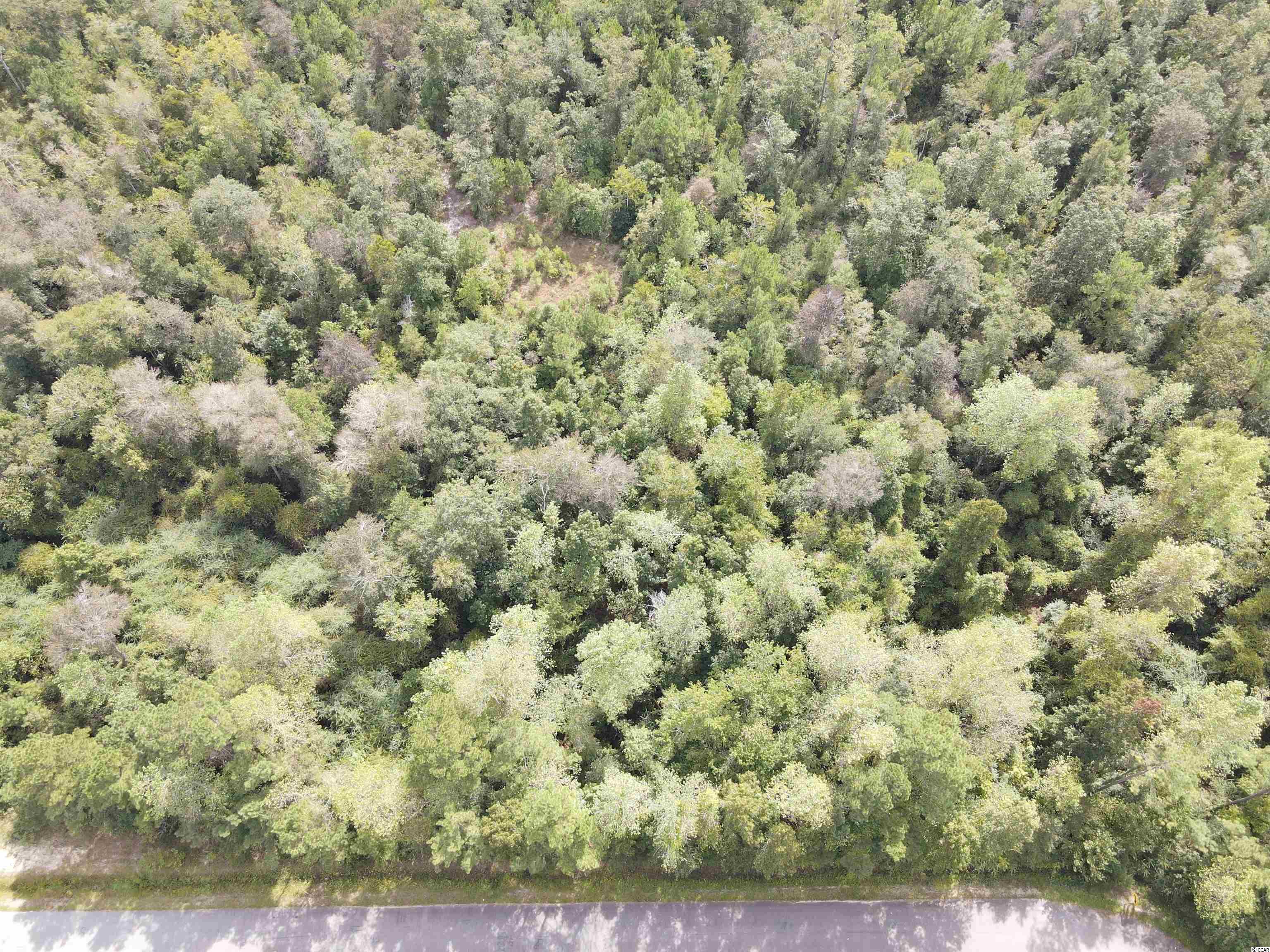 Lot 6 Rainbow Drive Loris, SC 29569 - Photo 6 of 21