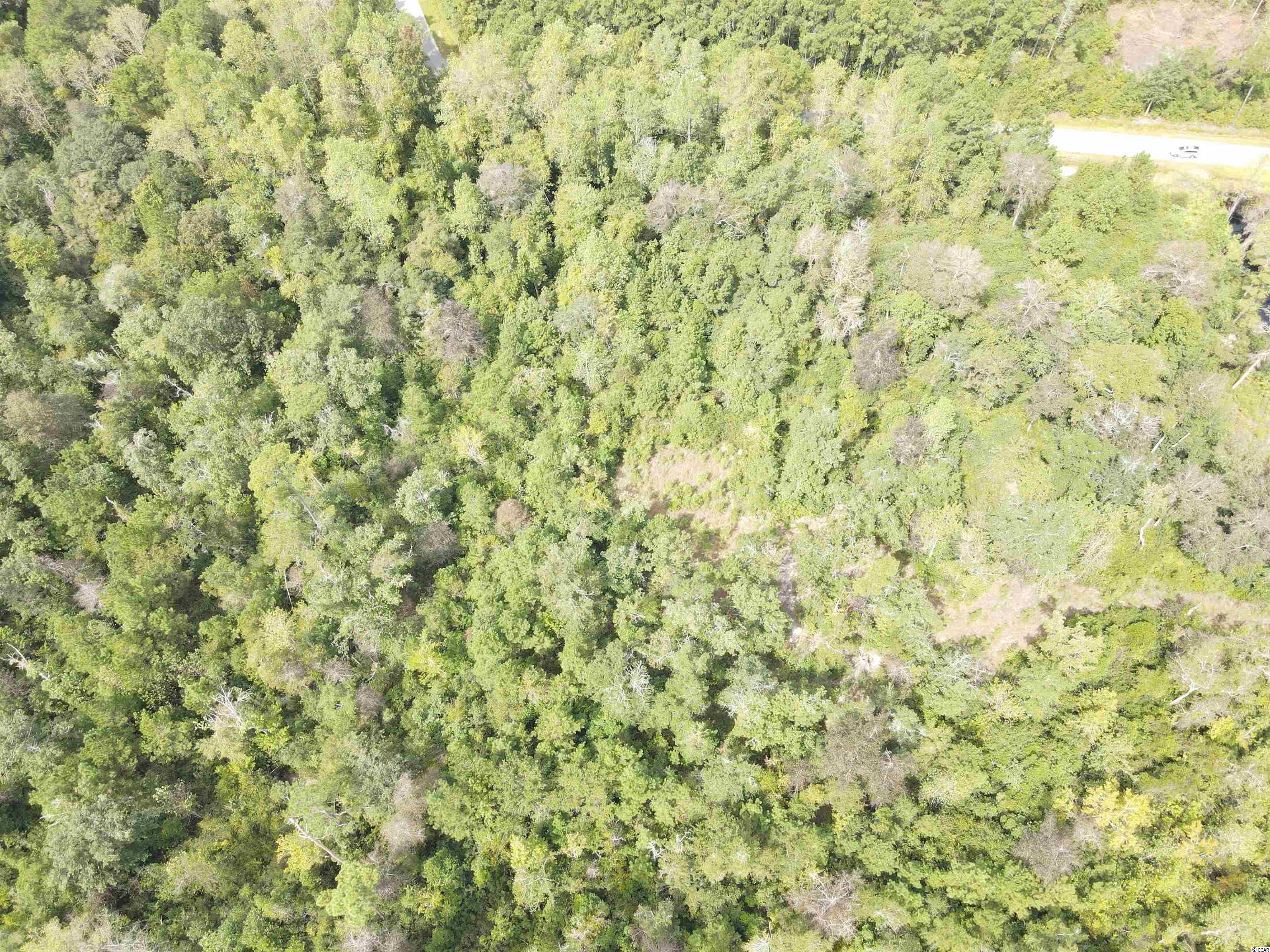 Lot 6 Rainbow Drive Loris, SC 29569 - Photo 9 of 21