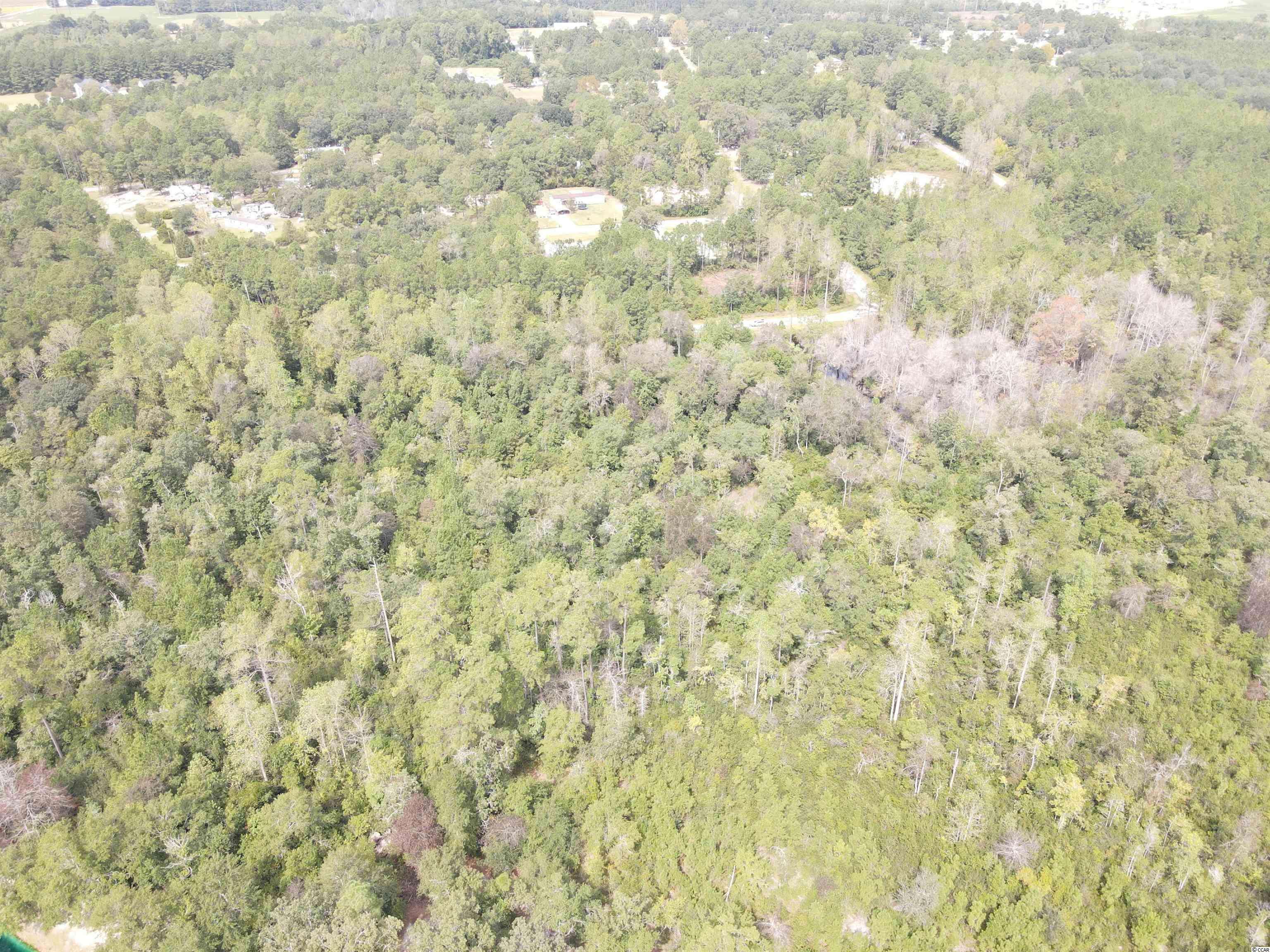Lot 6 Rainbow Drive Loris, SC 29569 - Photo 10 of 21