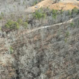 2163 Hazel Patch Road East Bernstadt, KY 40729 - Photo 3 of 8 02