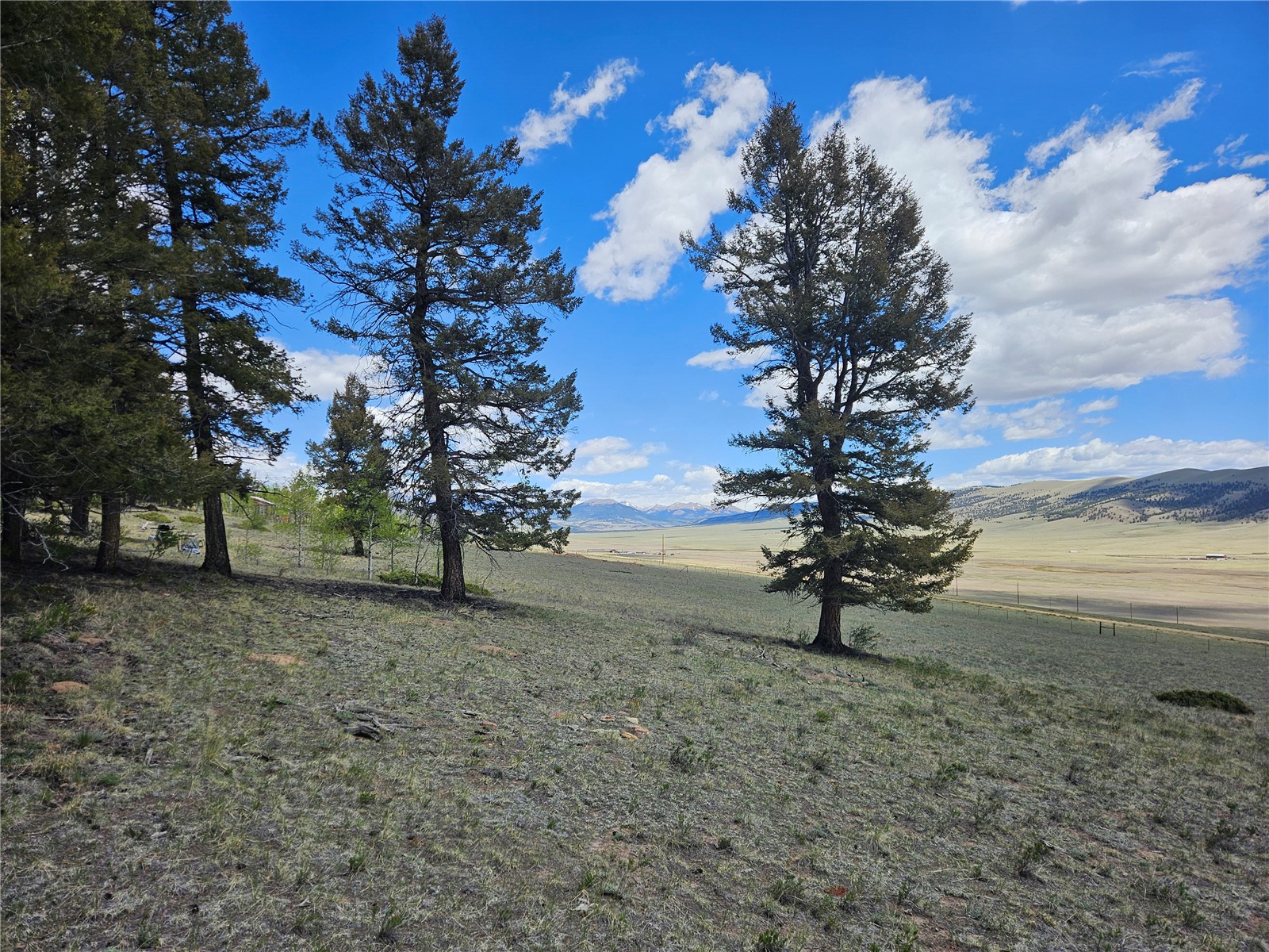 1412 Redhill Road Fairplay, CO 80440 - Photo 22 of 45 a view of a park with large trees
