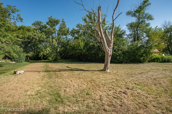 a view of backyard with green space