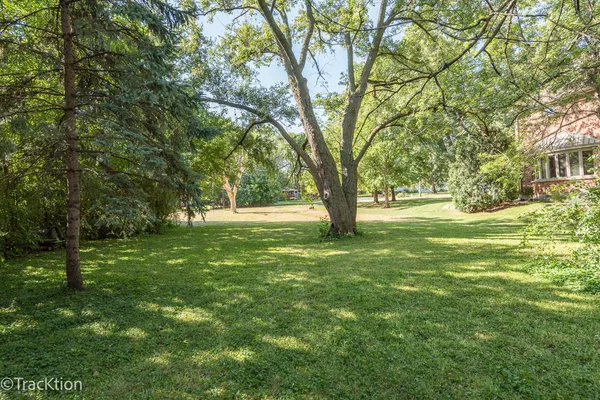a huge green field with lots of trees