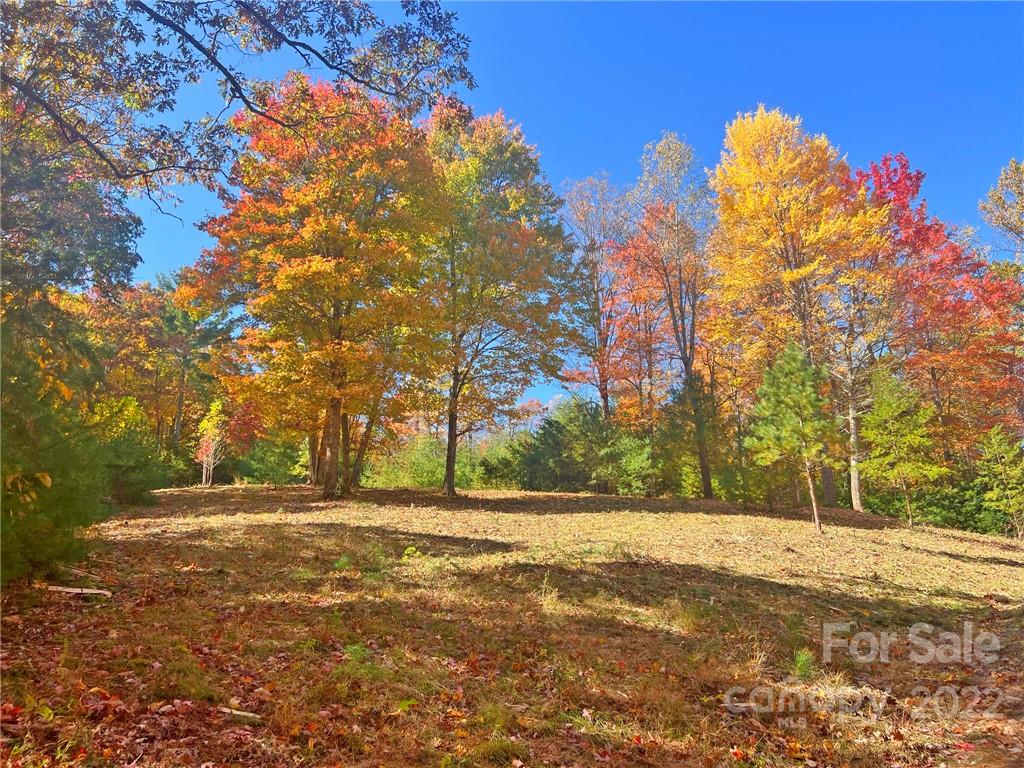 Tbd Waldroup Road Hot Springs, NC 28743 - Photo 1 of 35 Gallery Image 1