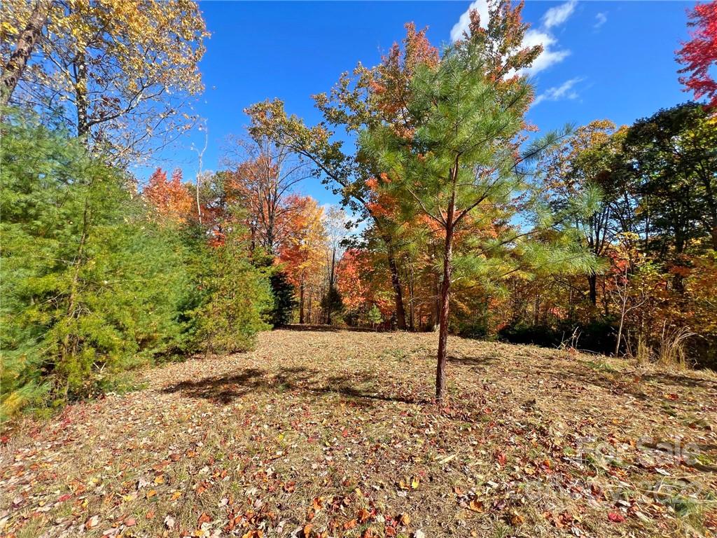 Tbd Waldroup Road Hot Springs, NC 28743 - Photo 11 of 35 Gallery Image 11