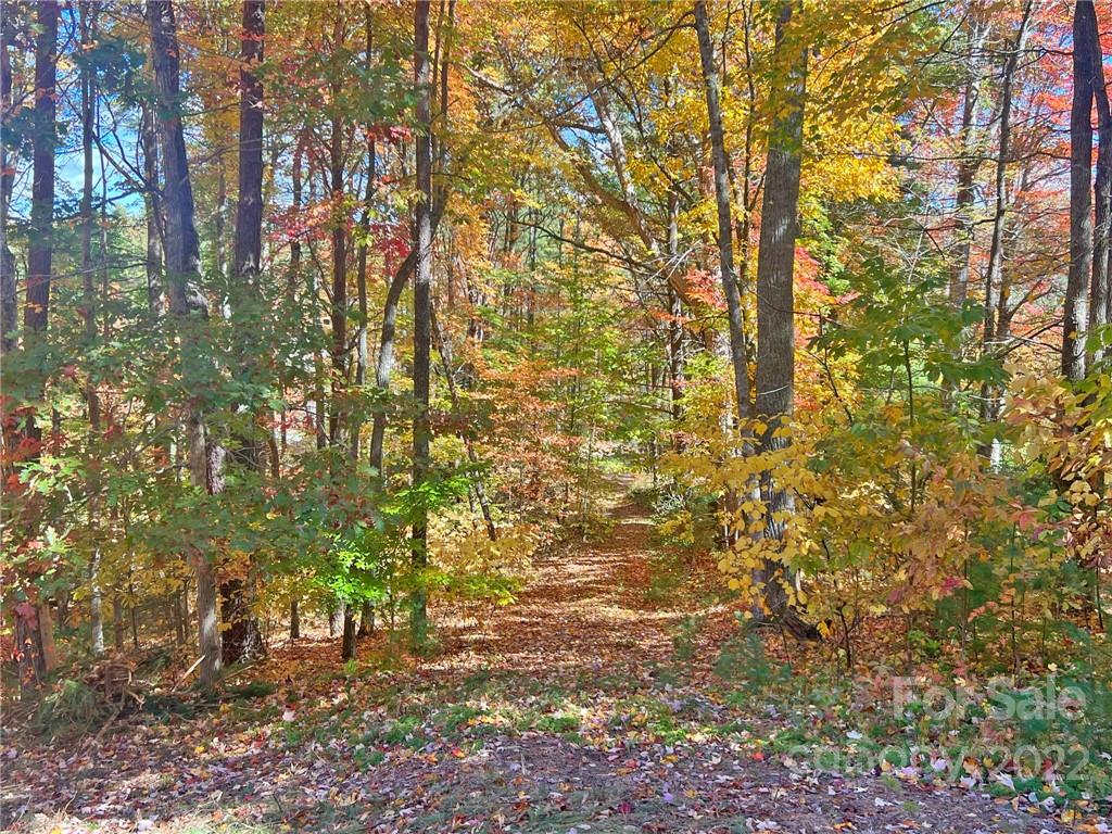 Tbd Waldroup Road Hot Springs, NC 28743 - Photo 20 of 35 Gallery Image 20