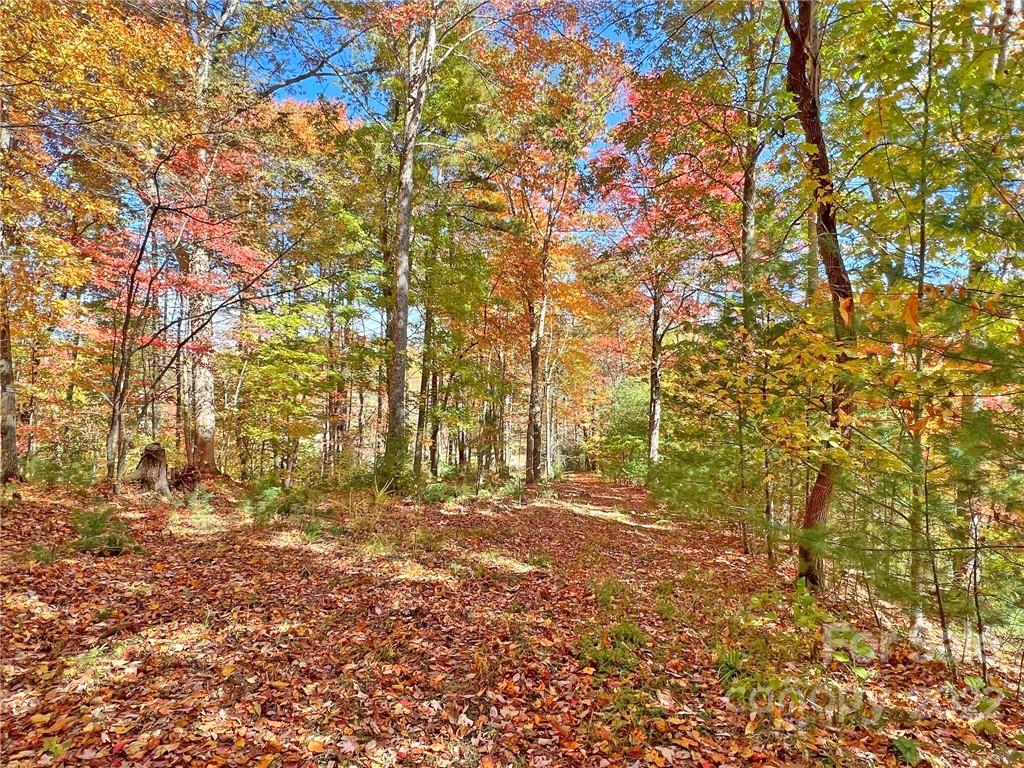 Tbd Waldroup Road Hot Springs, NC 28743 - Photo 21 of 35 Gallery Image 21