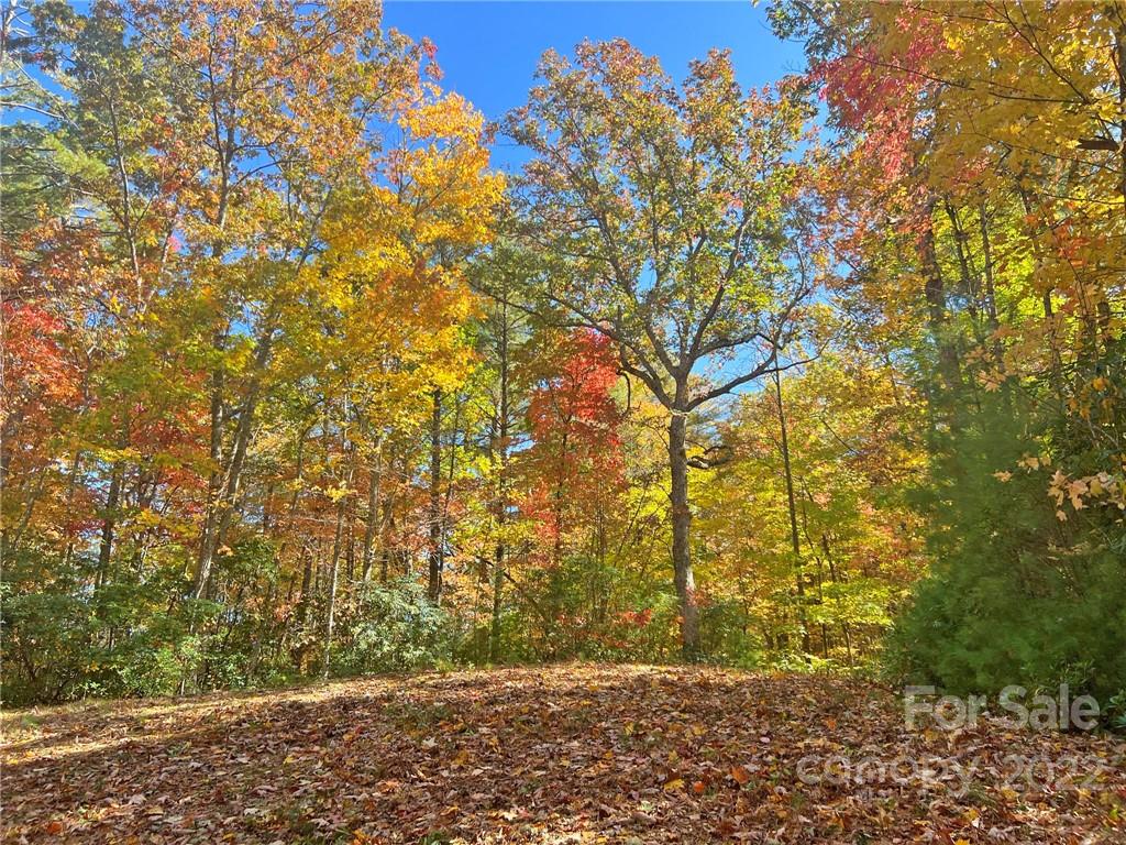 Tbd Waldroup Road Hot Springs, NC 28743 - Photo 27 of 35 Gallery Image 27