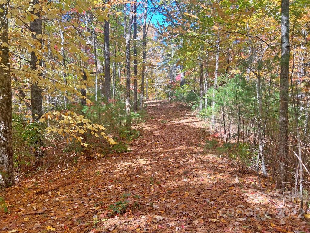 Tbd Waldroup Road Hot Springs, NC 28743 - Photo 28 of 35 Gallery Image 28