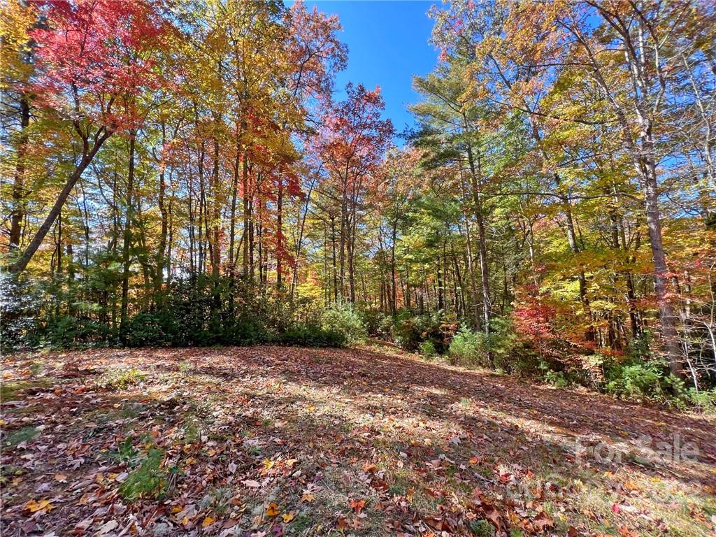 Tbd Waldroup Road Hot Springs, NC 28743 - Photo 31 of 35 Gallery Image 31