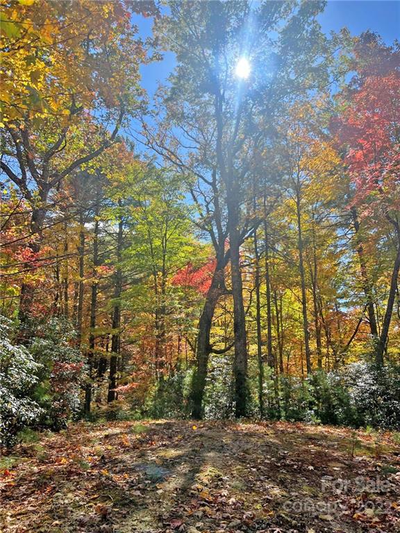 Tbd Waldroup Road Hot Springs, NC 28743 - Photo 32 of 35 Gallery Image 32