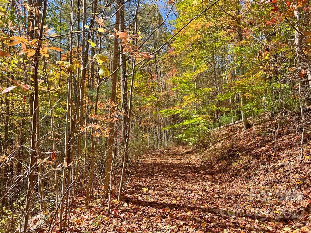 Tbd Waldroup Road Hot Springs, NC 28743 - Photo 34 of 35 Gallery Image 34