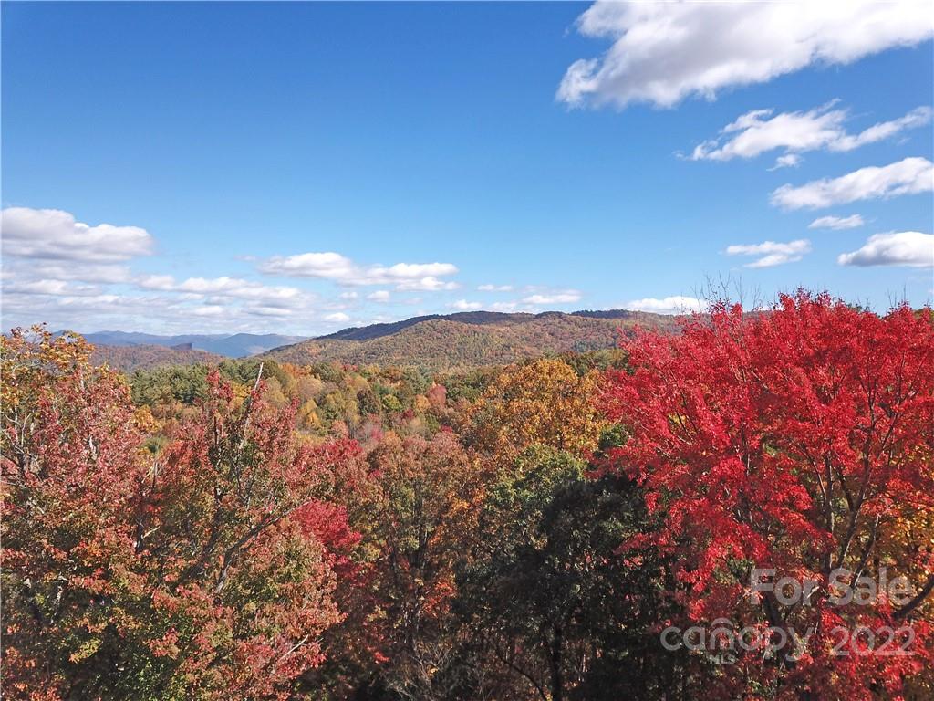 Tbd Waldroup Road Hot Springs, NC 28743 - Photo 35 of 35 Gallery Image 35