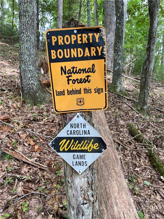 Tbd Waldroup Road Hot Springs, NC 28743 - Photo 4 of 35 Gallery Image 4