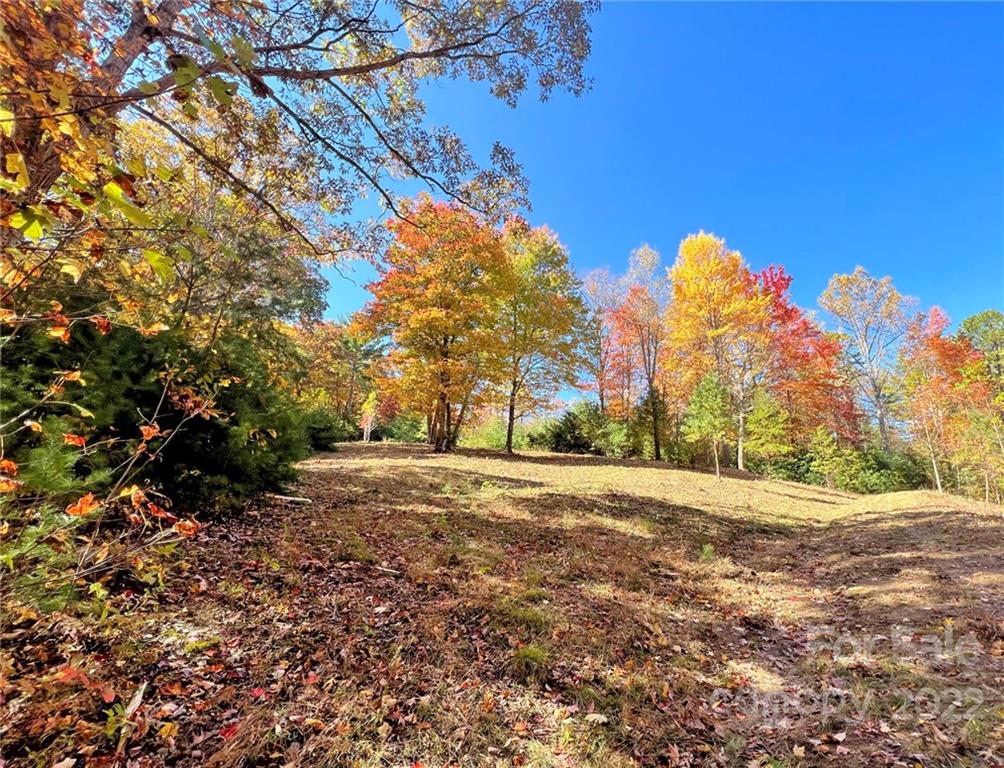 Tbd Waldroup Road Hot Springs, NC 28743 - Photo 6 of 35 Gallery Image 6