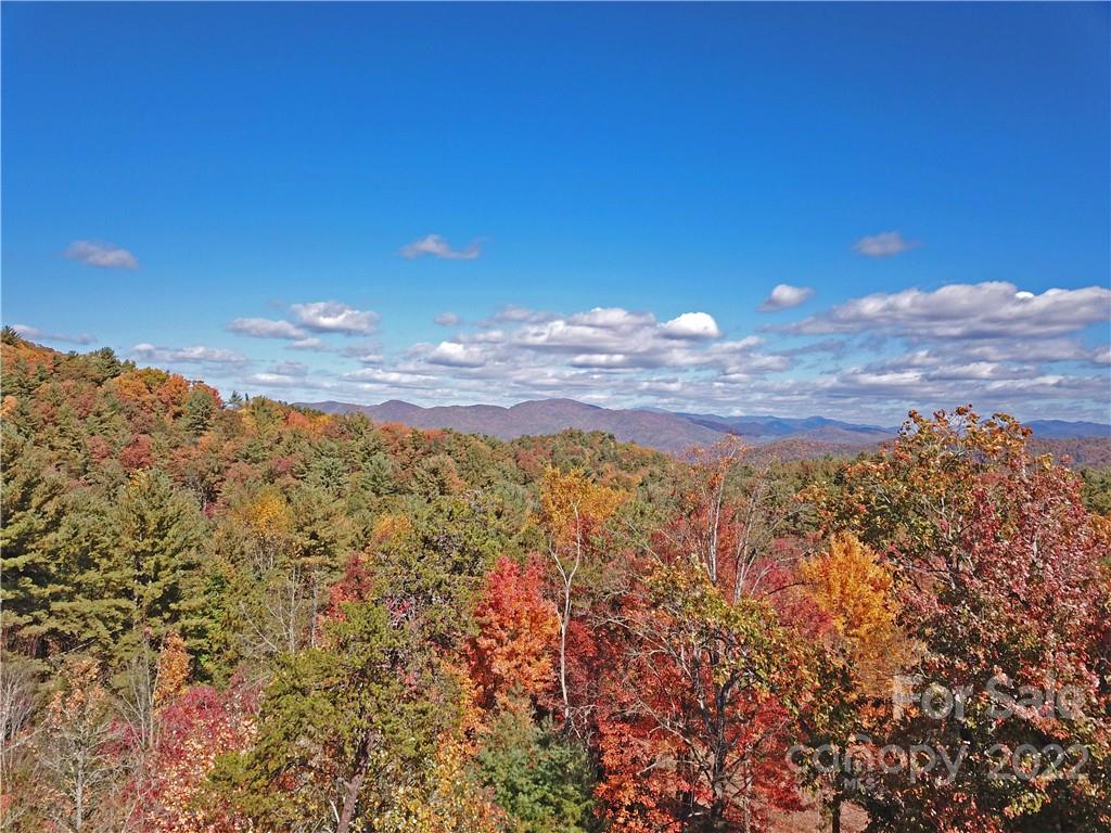 Tbd Waldroup Road Hot Springs, NC 28743 - Photo 9 of 35 Gallery Image 9