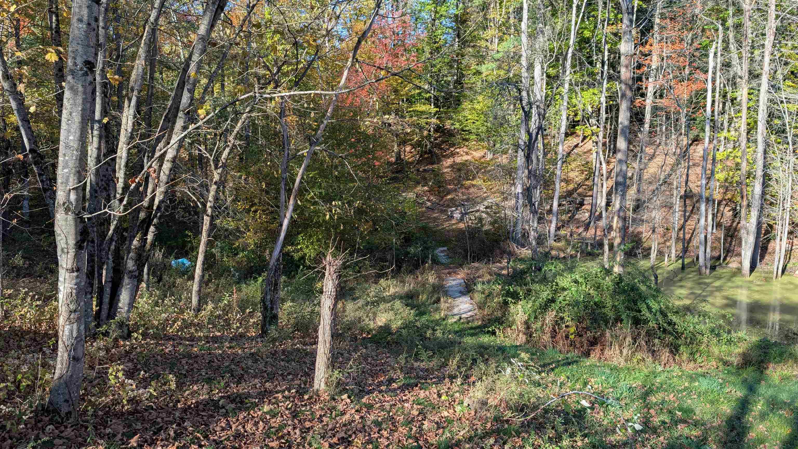281 Hodgdon Road Weare, NH 03281 - Photo 28 of 39