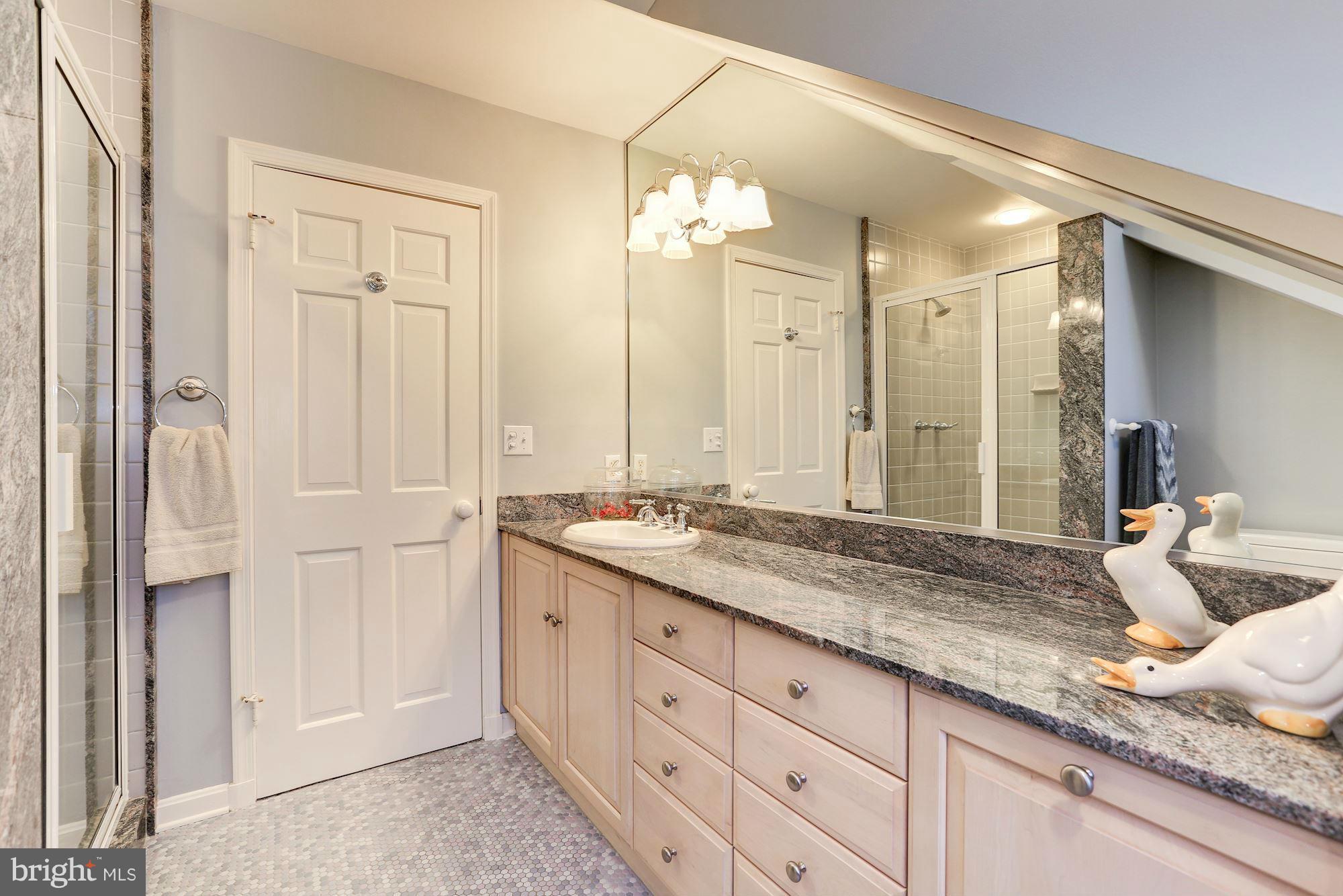 15401 Spring Meadows Drive Germantown, MD 20874 - Photo 21 of 27 Bath