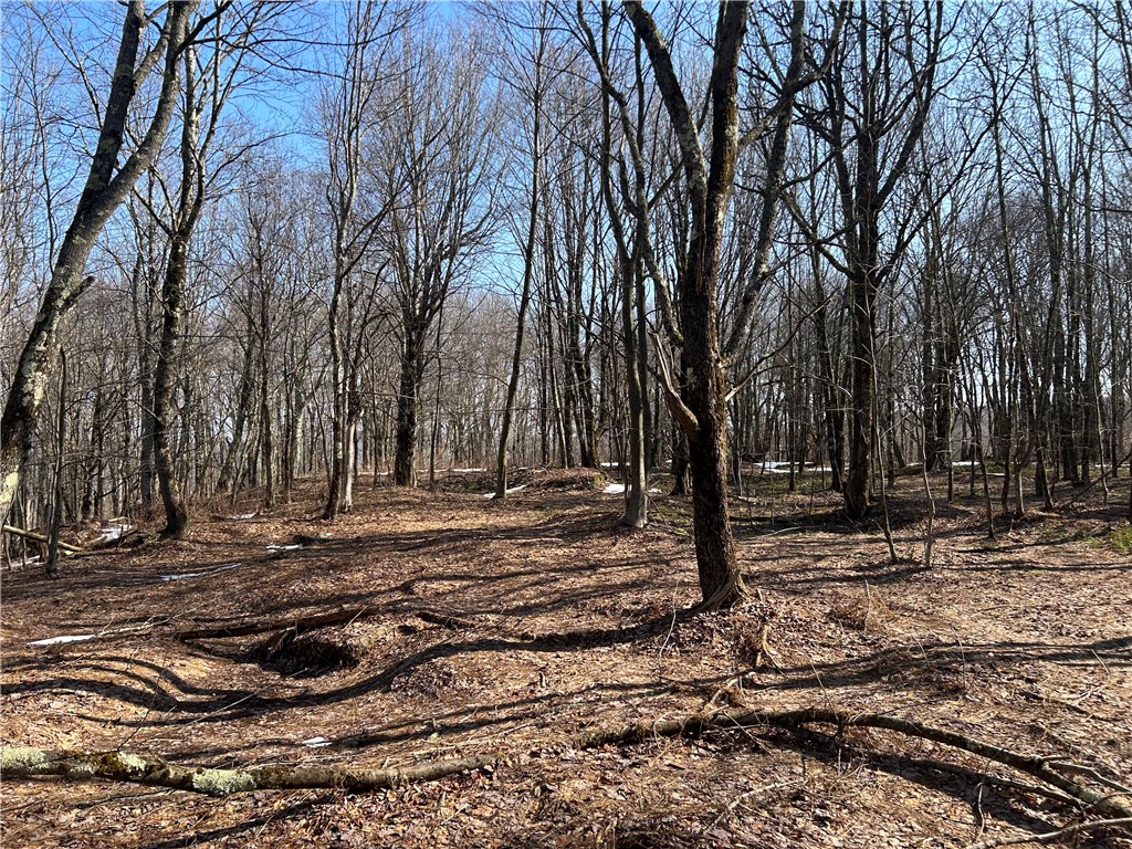 Huska Road Delancey, NY 13752 - Photo 11 of 17