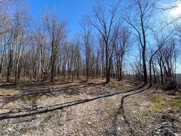 $240,000 | Huska Road, Delancey, NY 13752