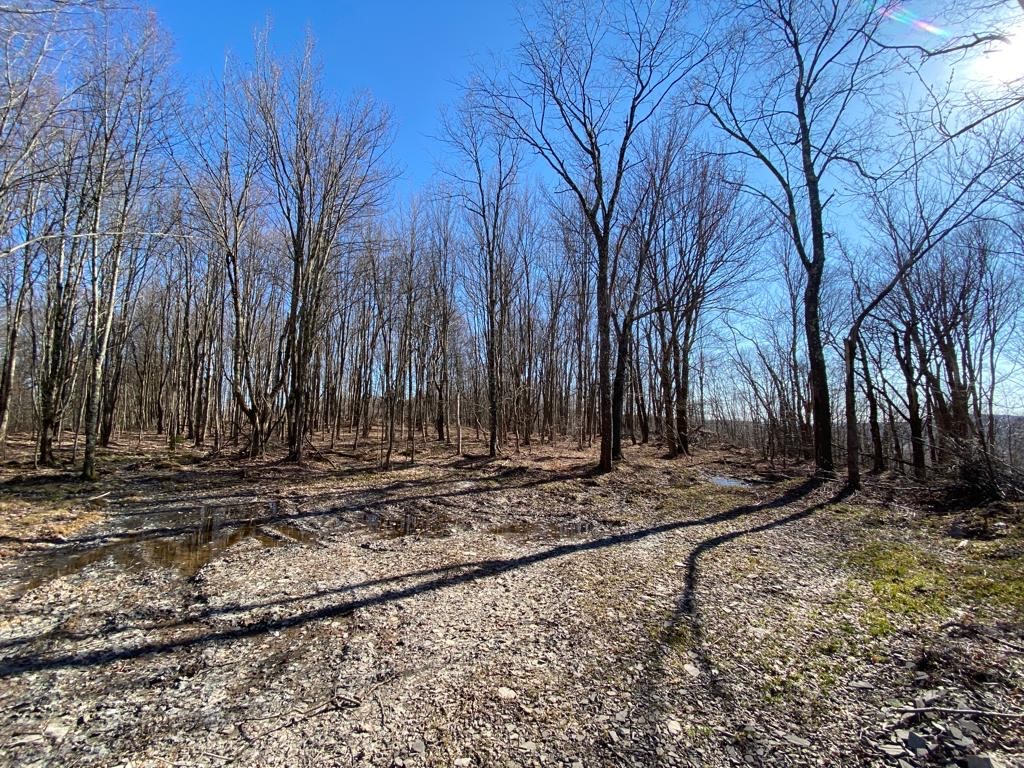 Huska Road Delancey, NY 13752 - Photo 12 of 17
