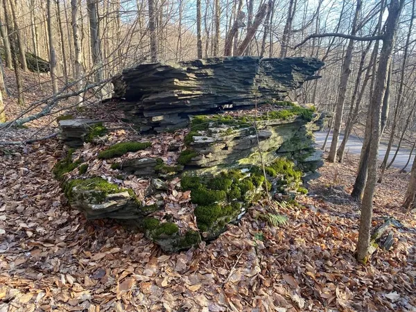 $240,000 | Huska Road, Delancey, NY 13752