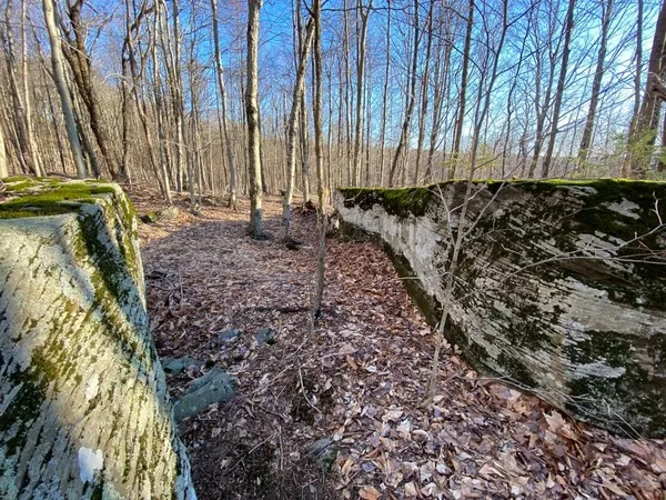 $240,000 | Huska Road, Delancey, NY 13752
