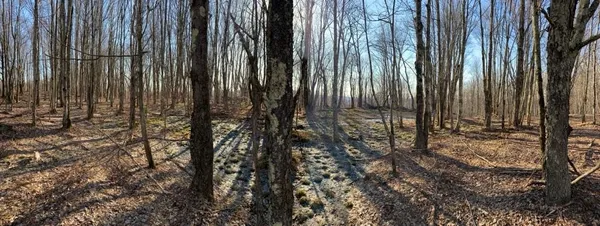 $240,000 | Huska Road, Delancey, NY 13752
