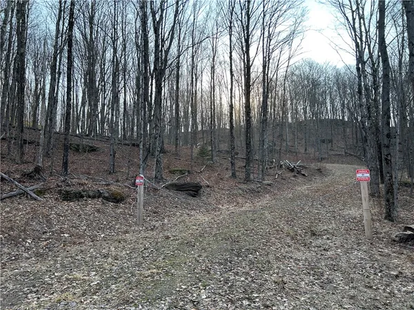 $240,000 | Huska Road, Delancey, NY 13752
