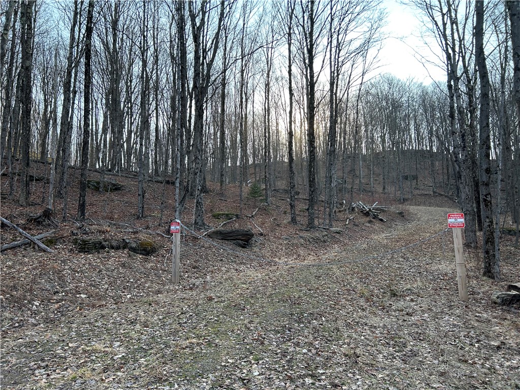 Huska Road Delancey, NY 13752 - Photo 5 of 17