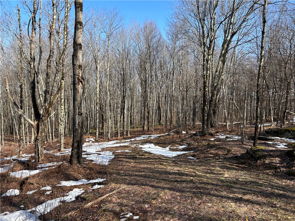 Huska Road Delancey, NY 13752 - Photo 6 of 17