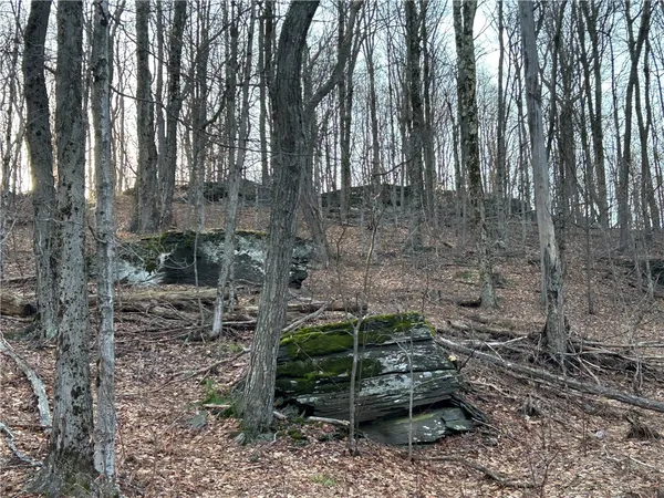 $240,000 | Huska Road, Delancey, NY 13752