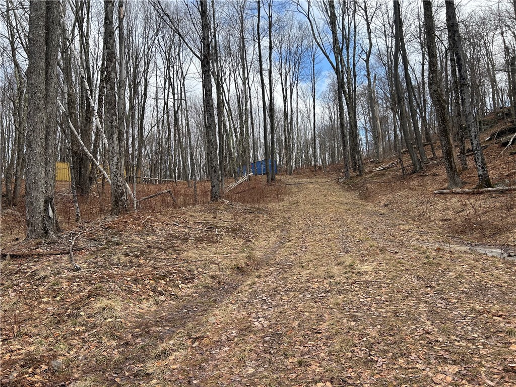Huska Road Delancey, NY 13752 - Photo 8 of 17