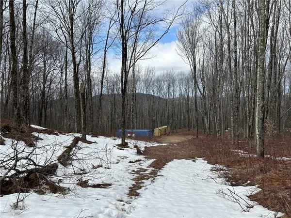 $240,000 | Huska Road, Delancey, NY 13752