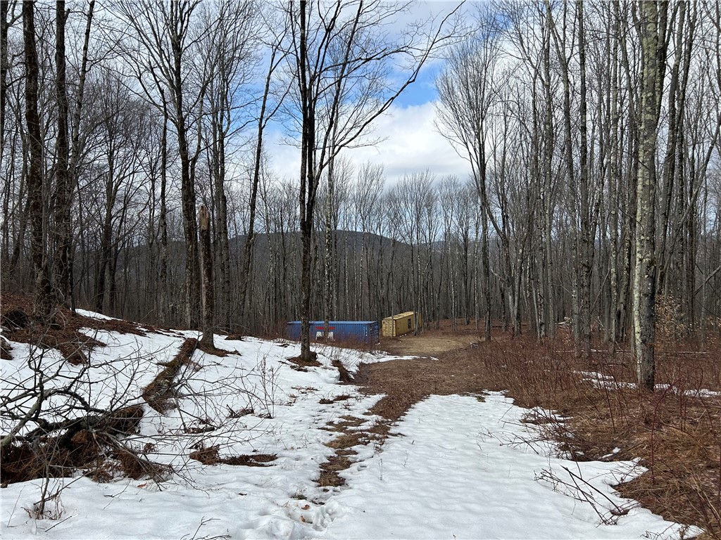 Huska Road Delancey, NY 13752 - Photo 9 of 17
