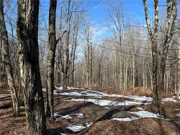 $240,000 | Huska Road, Delancey, NY 13752